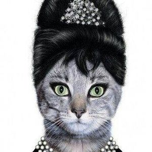 Meet your Posher, Melina